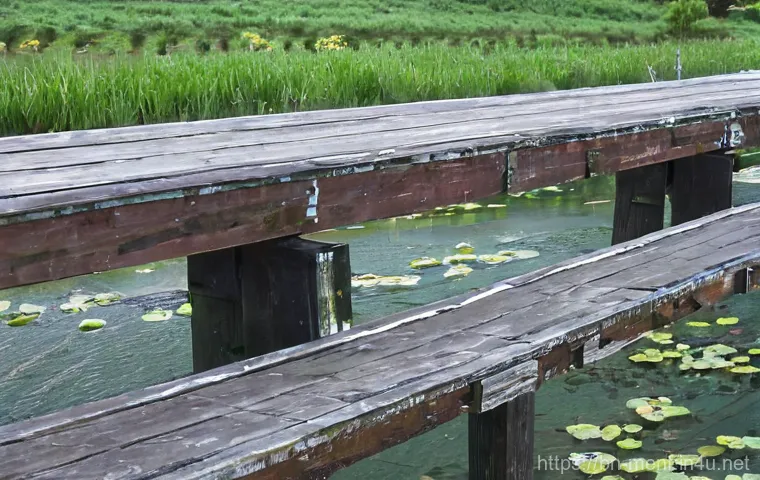 남성용 디자이너 브랜드 - Here are three detailed image generation prompts in English, designed to be creative, adhere to the ...